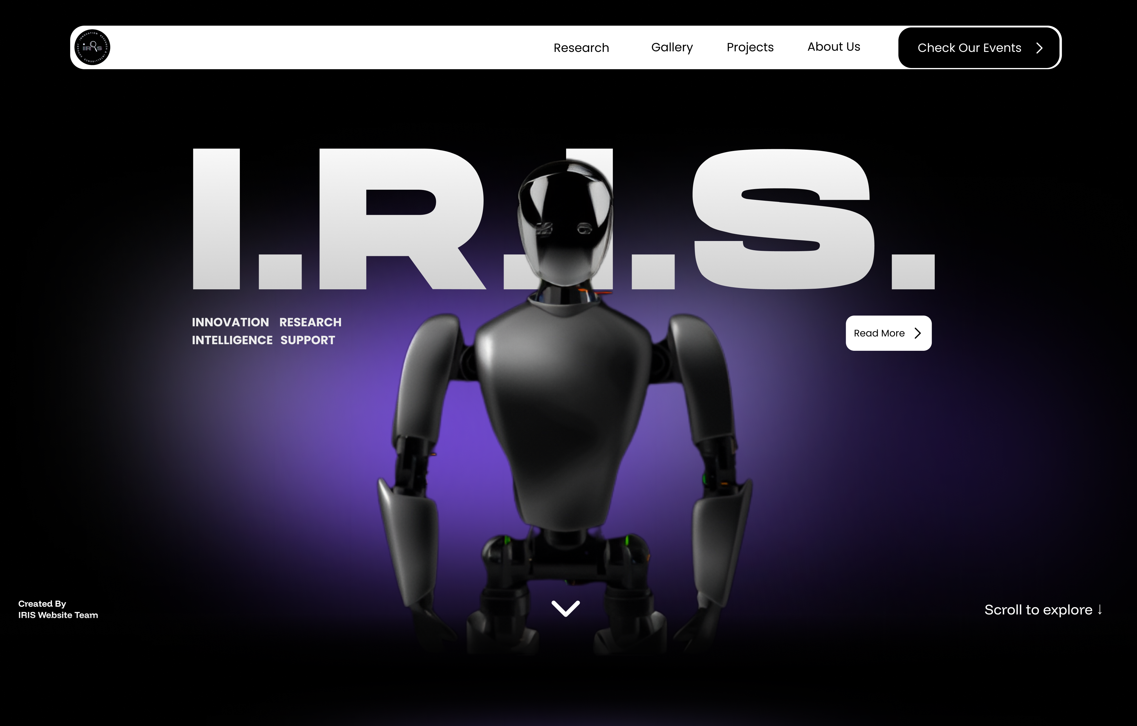 IRIS, gallery 1